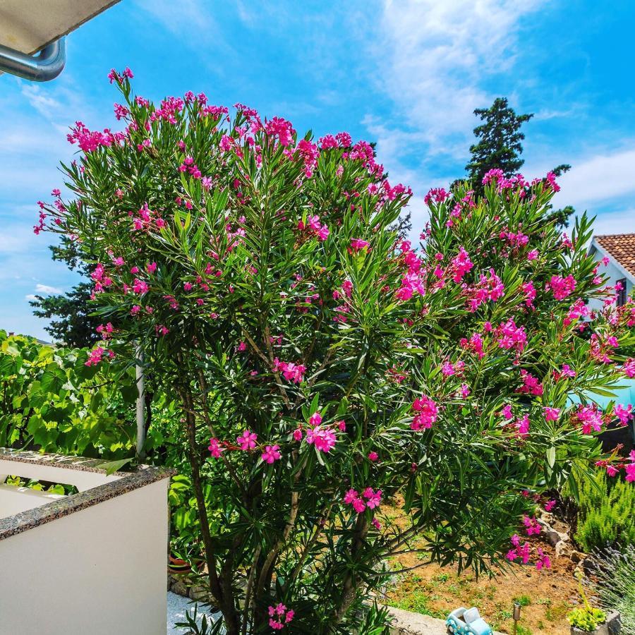 Apartman Hana Appartement Omišalj Buitenkant foto